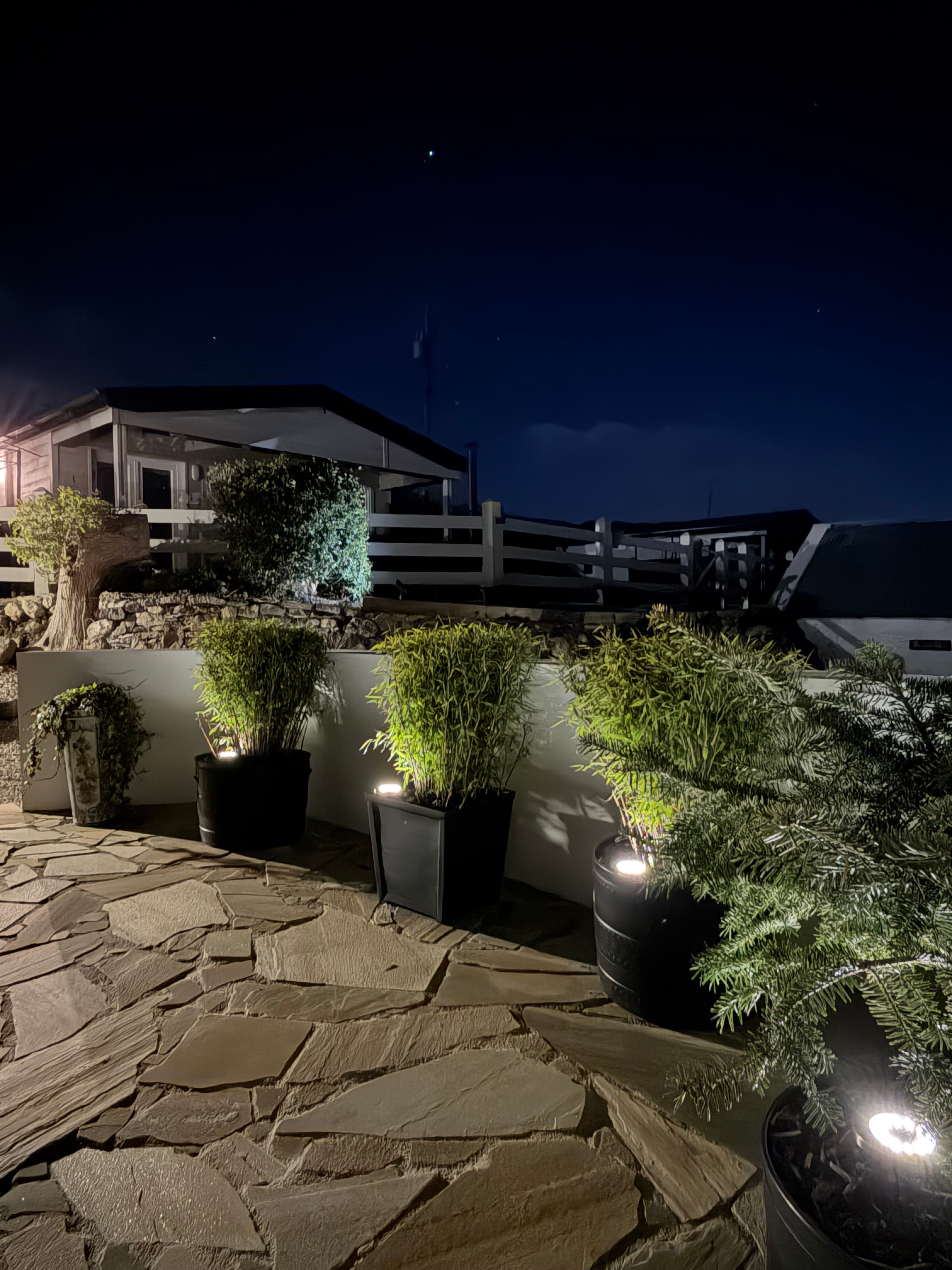 A cabin glowing warm at night, seen across the uplit planters from the sauna’s paved patio
