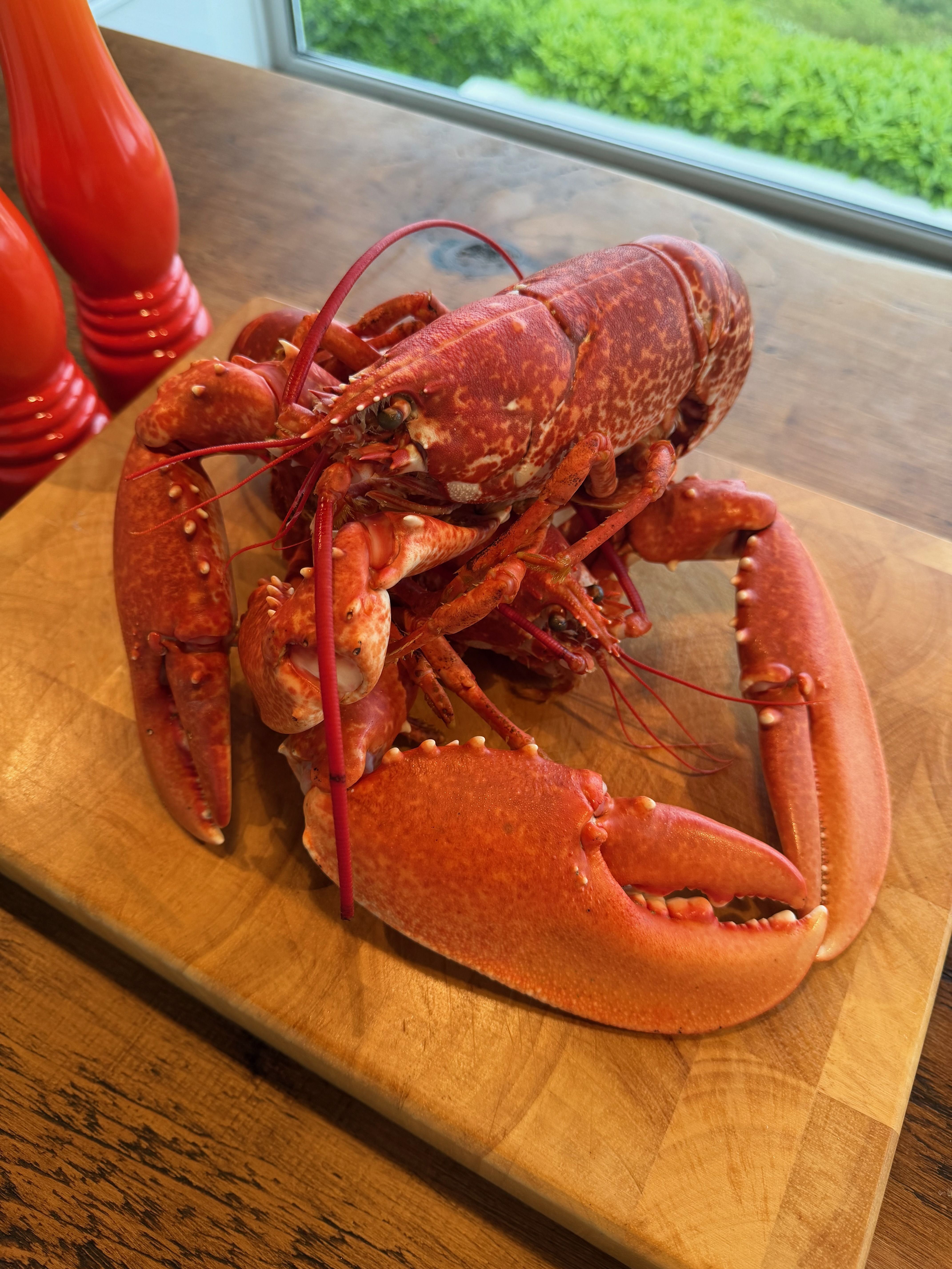A whole cooked lobster, its shell turned bright red, on a wooden butcher-block board by a window, with red salt and pepper mills behind.