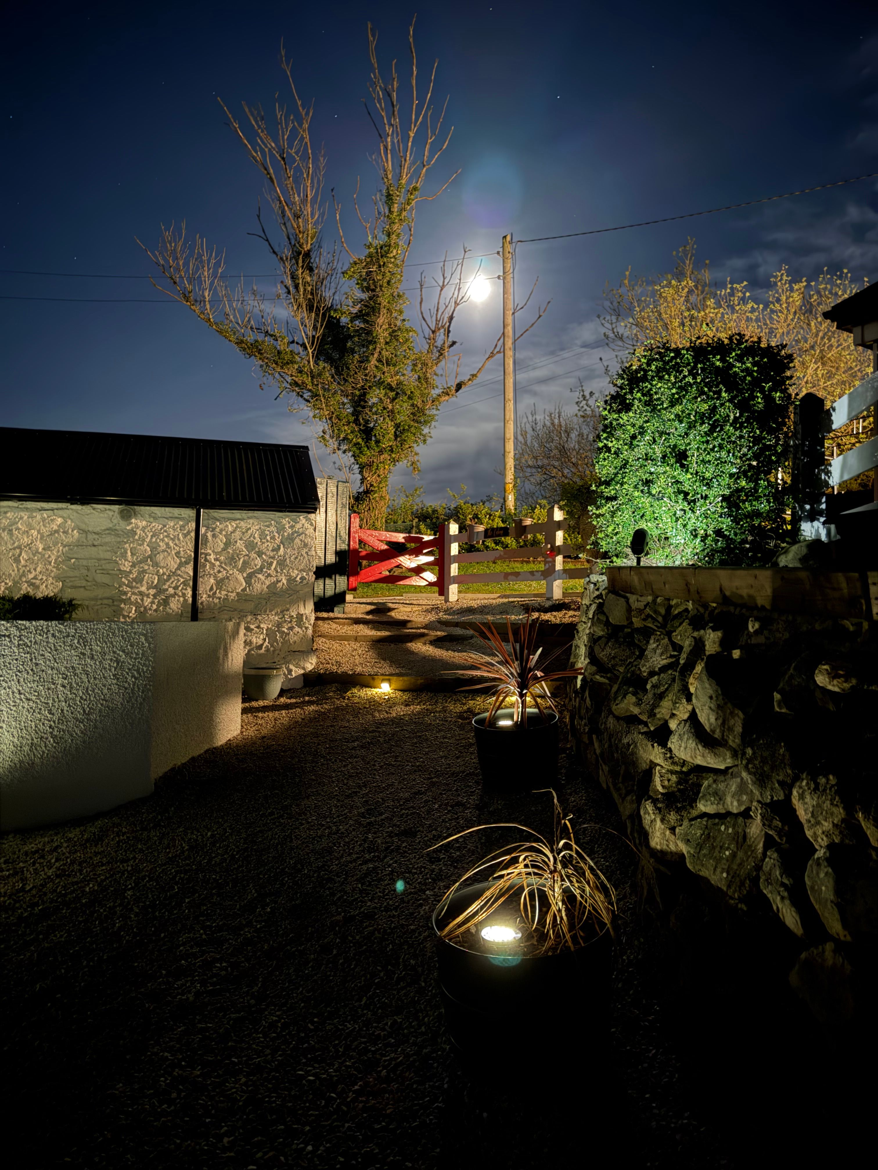 The sauna courtyard at night, uplit cordyline planters and a full moon above